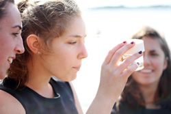 Students collect invertebrate samples in Niantic Bay Estuary. Photos by Laura Cianciolo '16.