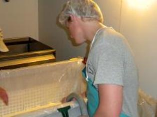 John Waterman ´11 works in the "cheese house," learning the ins and outs of the business.