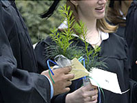 Connecticut College graduates are presented with Eastern White Pine saplings which they carry as they march at Commencement.