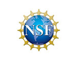 Branchini - NSF logo