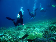 A student during their internship for the Goodwin-Niering Center.