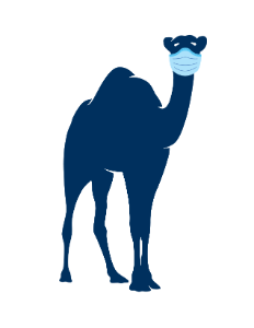 Masked Camel 